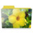 flower folder Icon